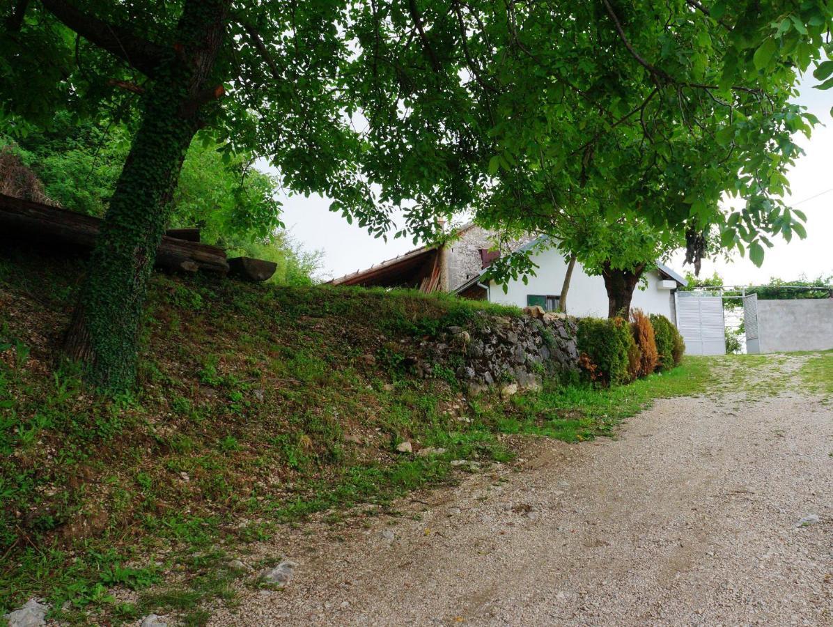 Old House Kontic Apartment Niksic Luaran gambar